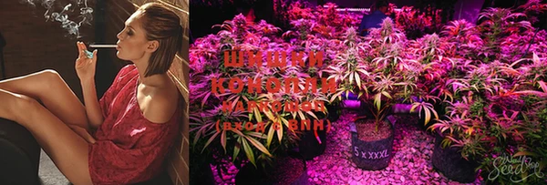 марки lsd Елизово