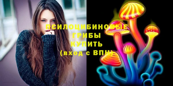 гашик Елабуга