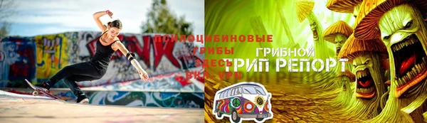 прущая мука Гвардейск