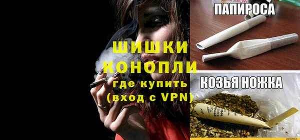 a pvp Ельня