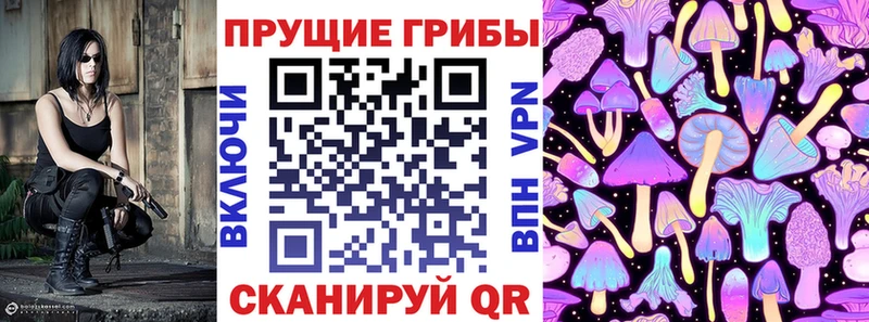 mega маркетплейс  Емва  Галлюциногенные грибы Cubensis 